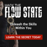 hack the flow state banner 200x200
