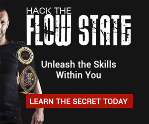 hack the flow state banner 300x250