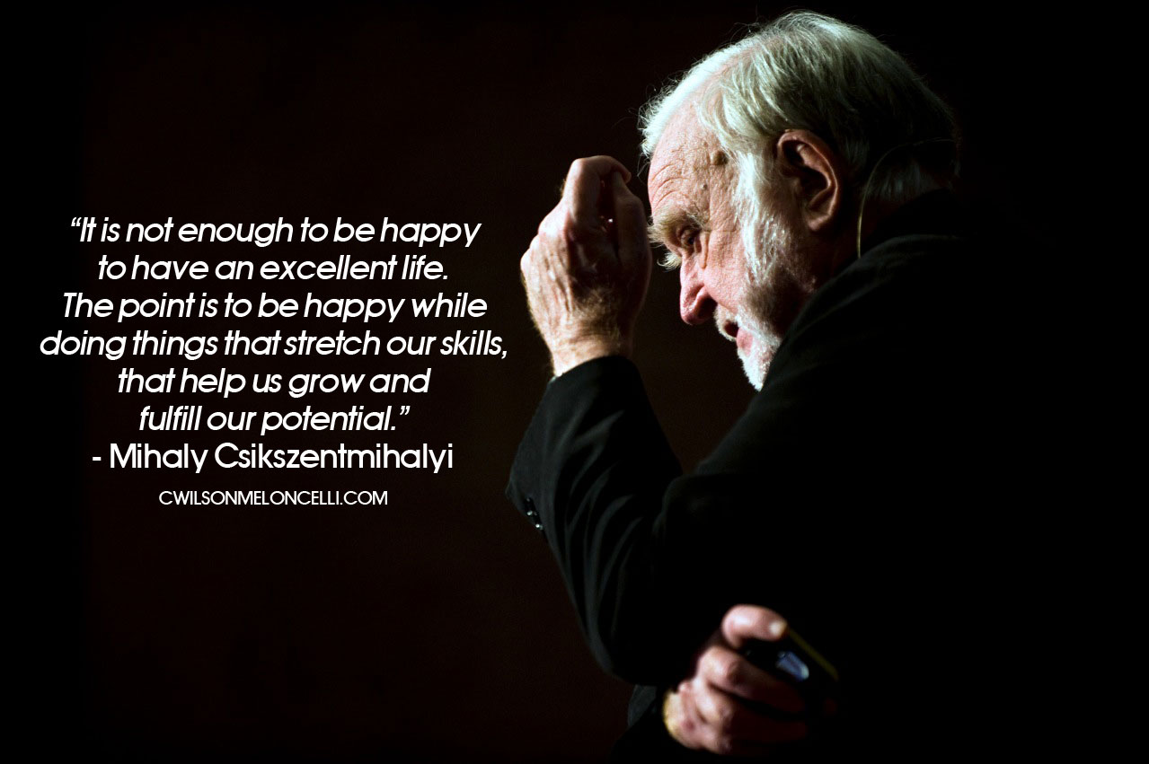 flow state mihaly csikszentmihalyi flow state mihaly csikszentmihalyi