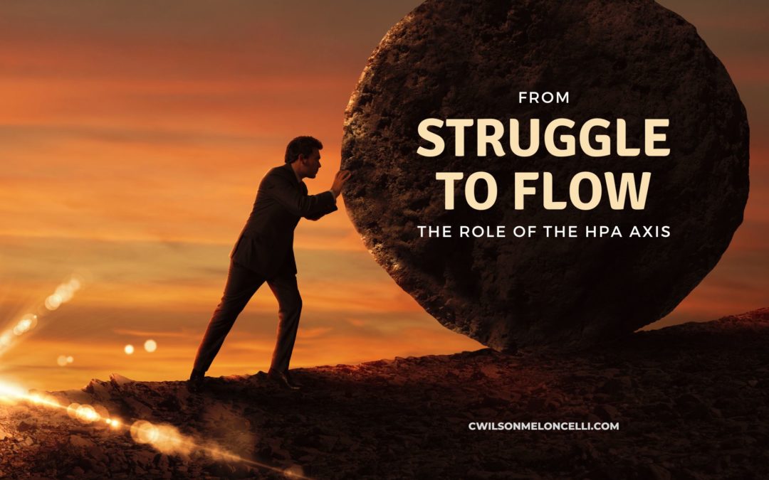 From Struggle to Flow | The Role of the HPA Axis