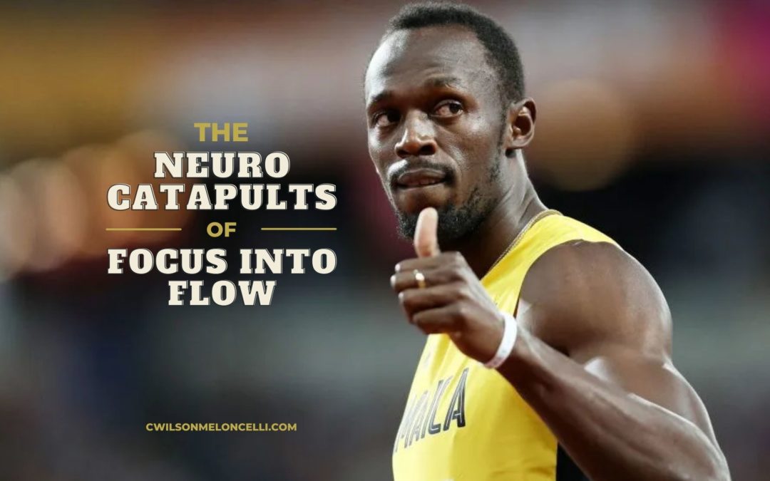 The Neuro Catapults of Focus into Flow