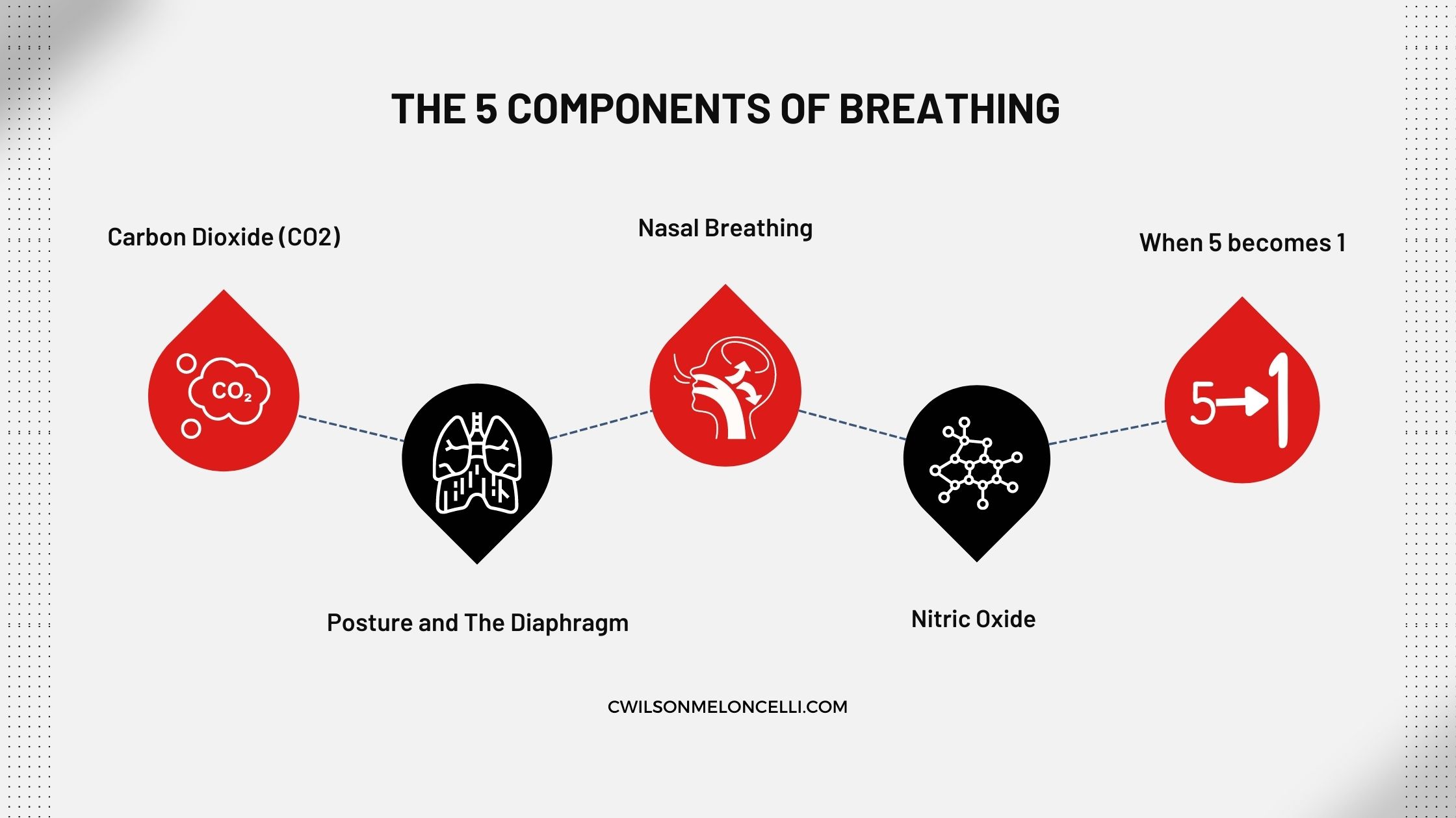 How to Breath to Accelerate Your Recovery and Release Yourself into the Flow State