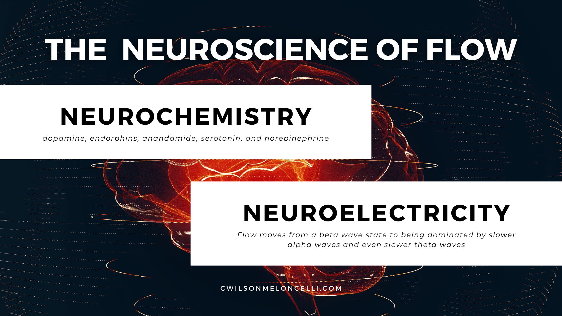 The Neuroscience of Flow