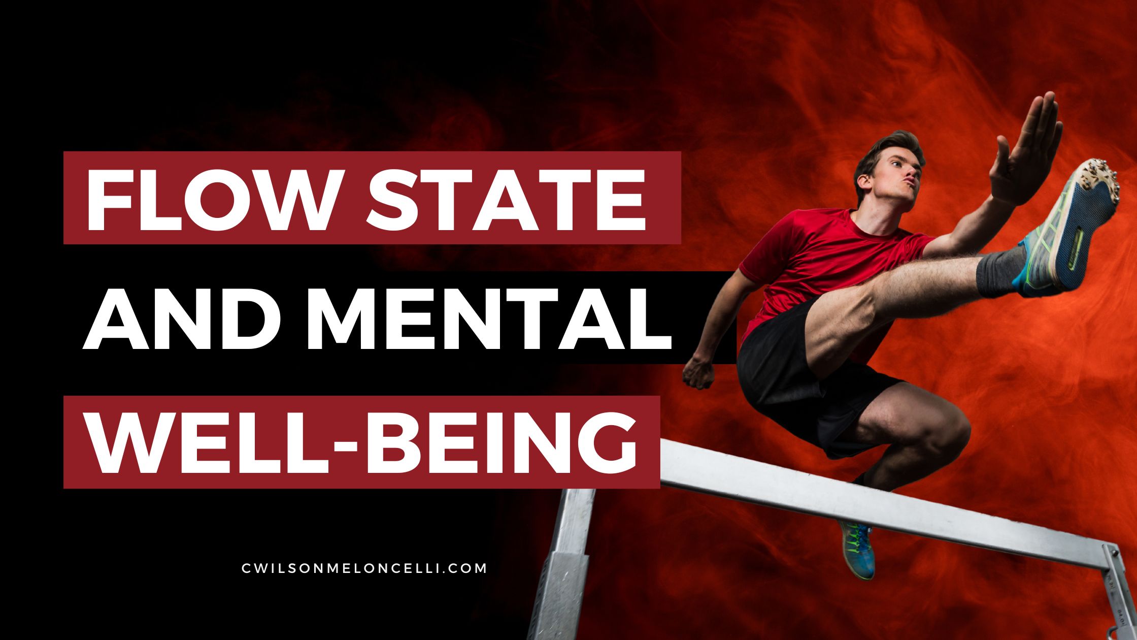 Flow State and Mental Well-being The Psychology of Optimal Experience