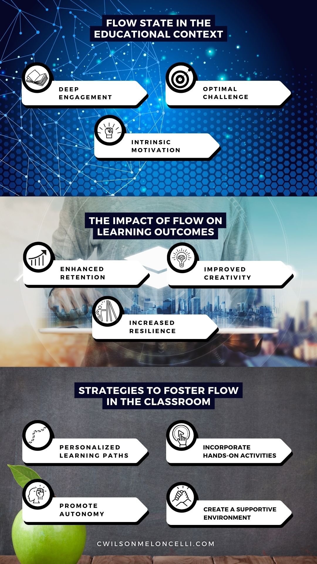 flow state in education infographic