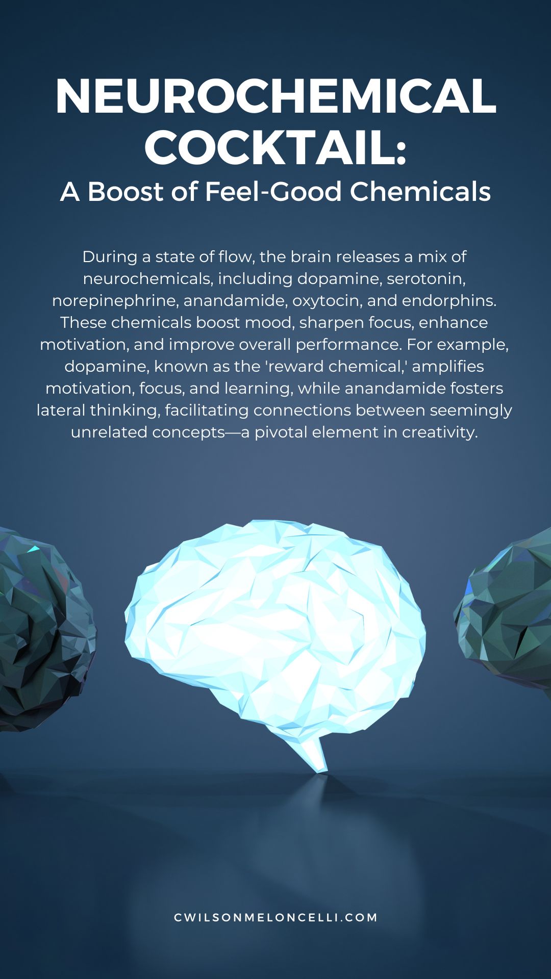 Physiology of Flow infographic