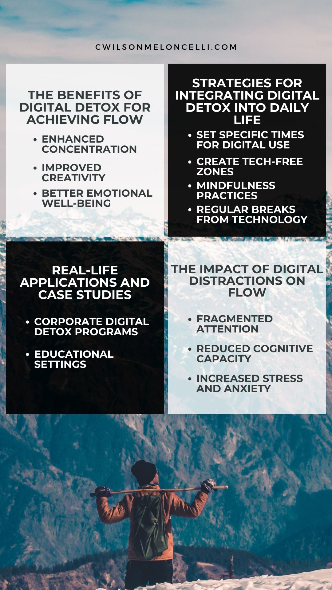 Digital Detox and Flow State