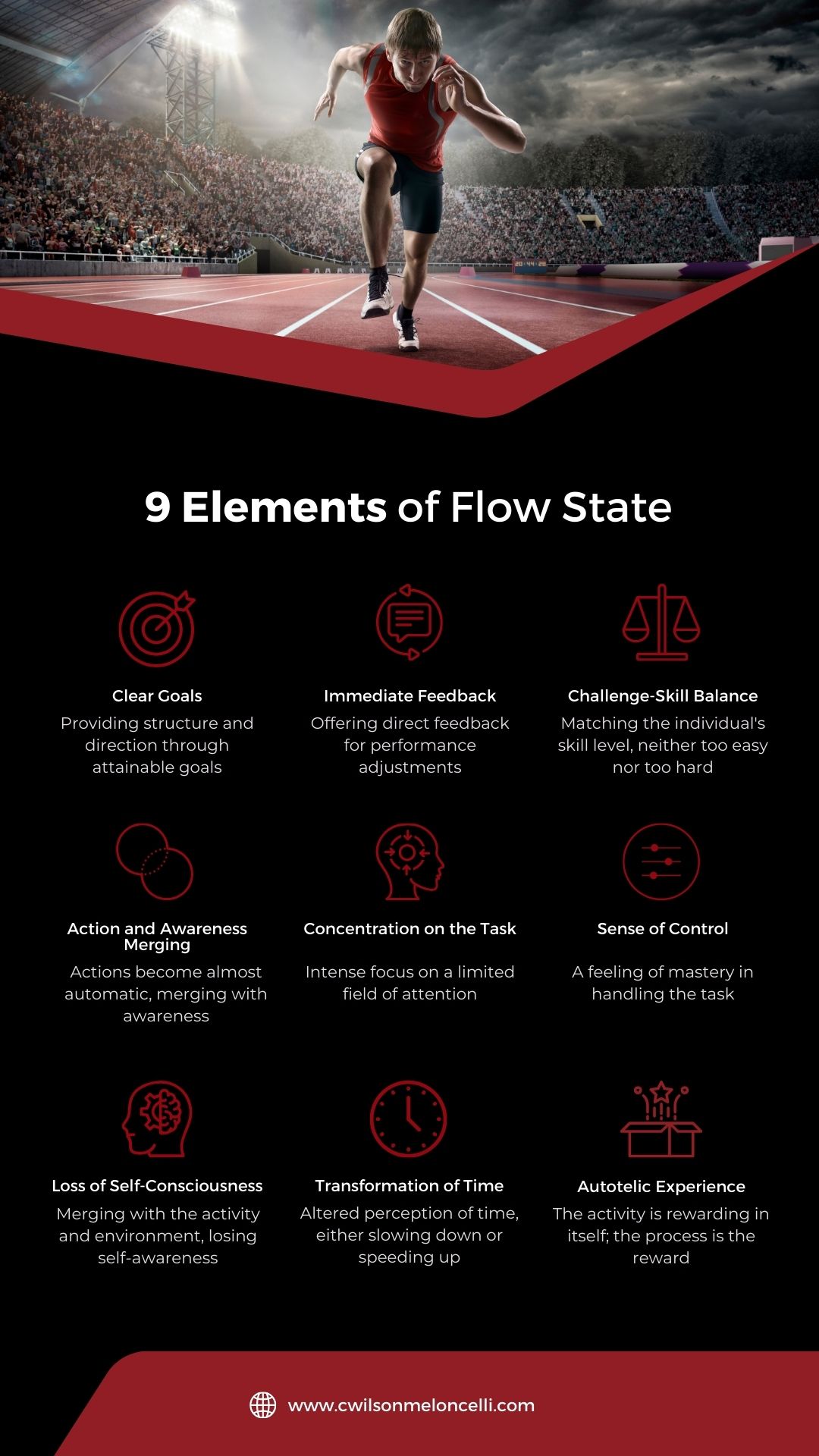 Intrinsic Spark and Flow State Infographic