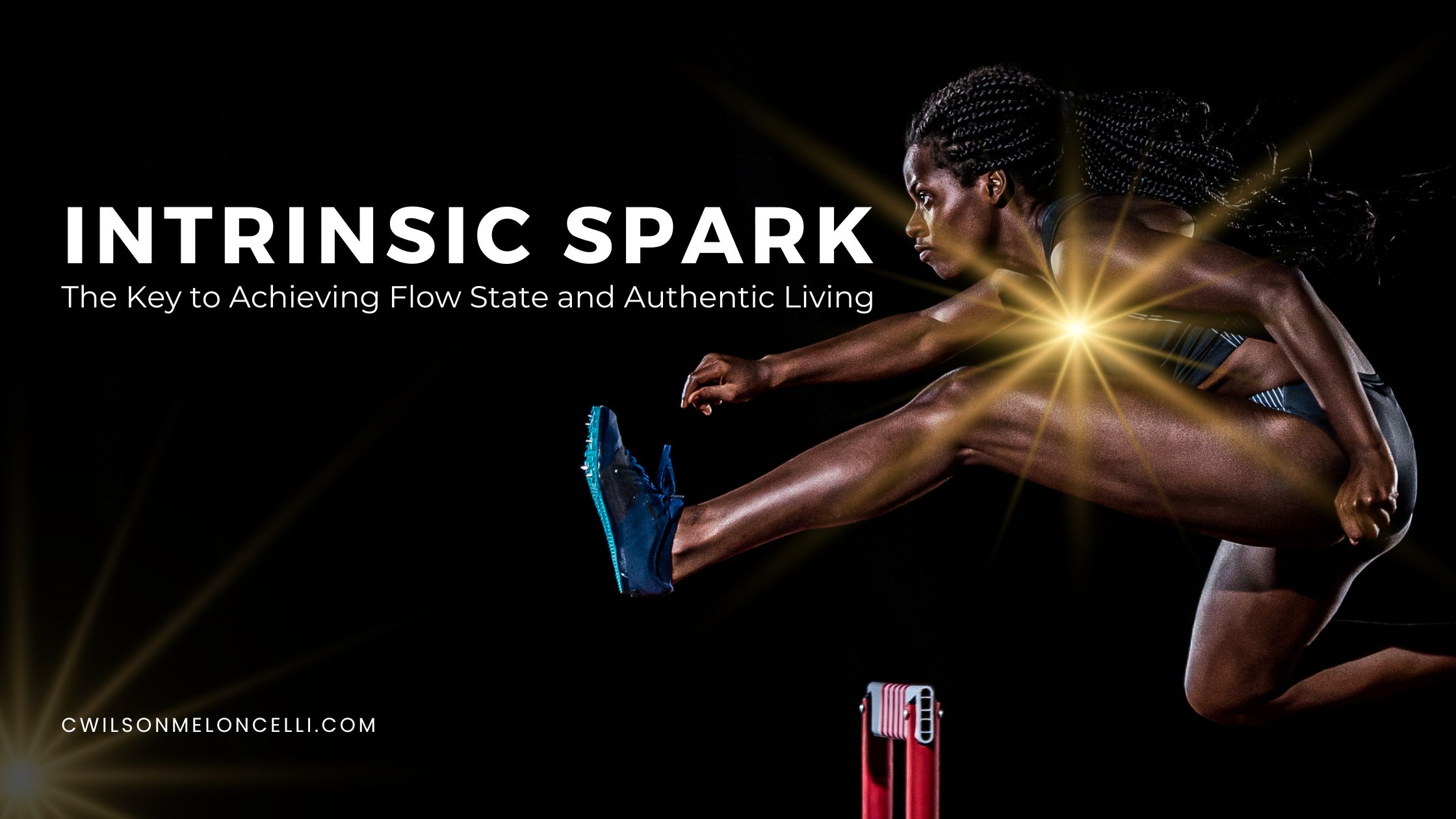 Intrinsic Spark and Flow State