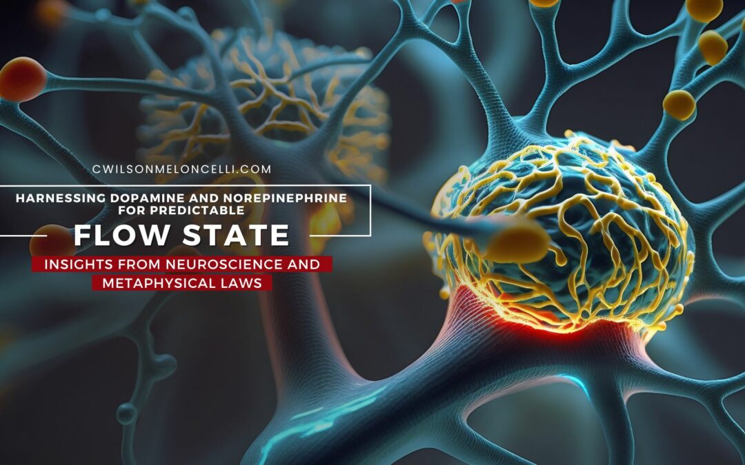 Harnessing Dopamine and Norepinephrine for Predictable Flow States: Insights from Neuroscience and Metaphysical Laws