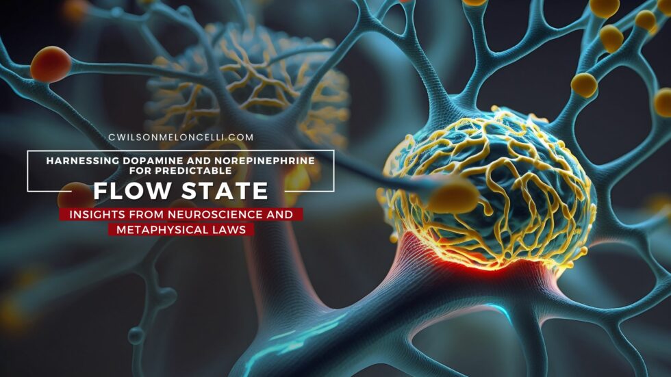 Leveraging Dopamine and Norepinephrine for Peak Performance - Dopamine And Peak Flow State