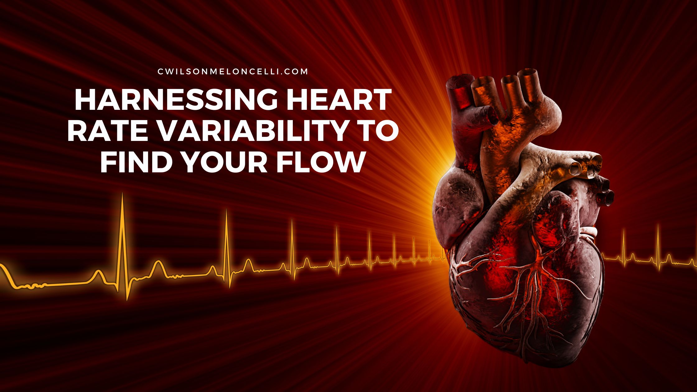 Heart rate variability flow