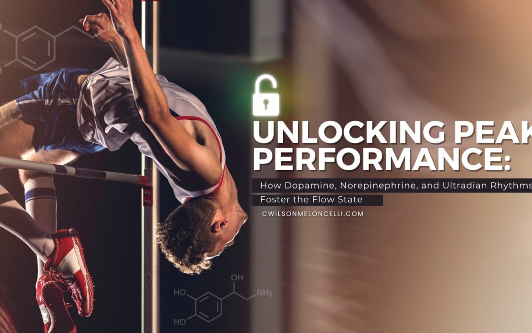 Unlocking Peak Performance: How Dopamine, Norepinephrine, and Ultradian Rhythms Foster the Flow State