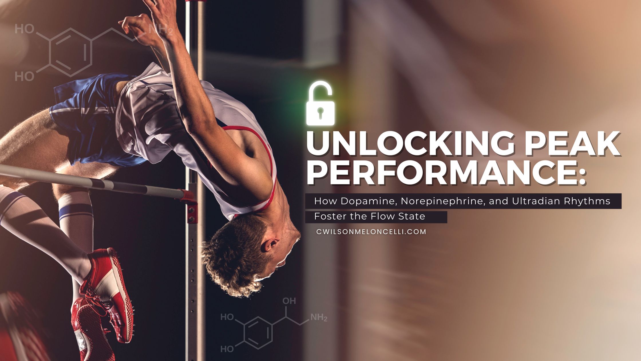 How Dopamine, Norepinephrine, and Ultradian Rhythms Foster the Flow State