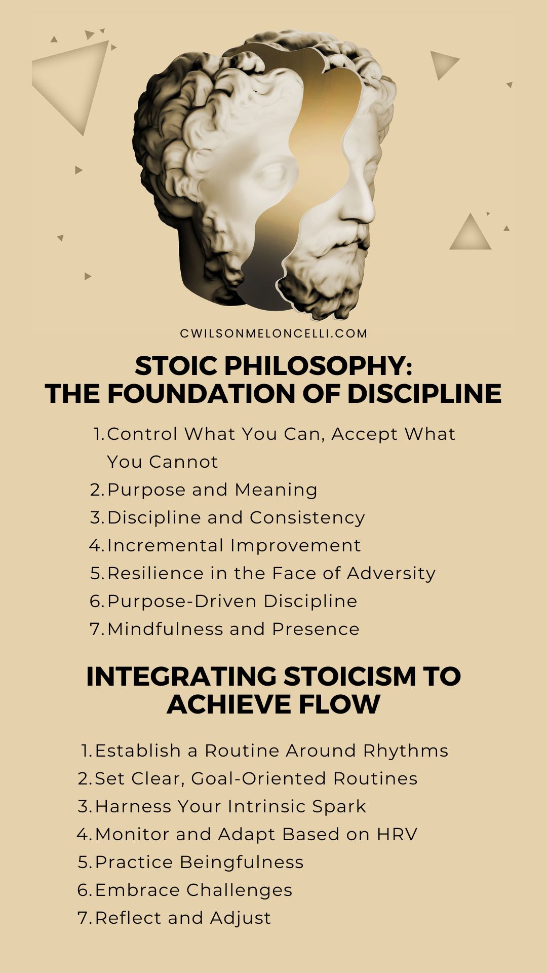 Stoic Philosophy Infographic