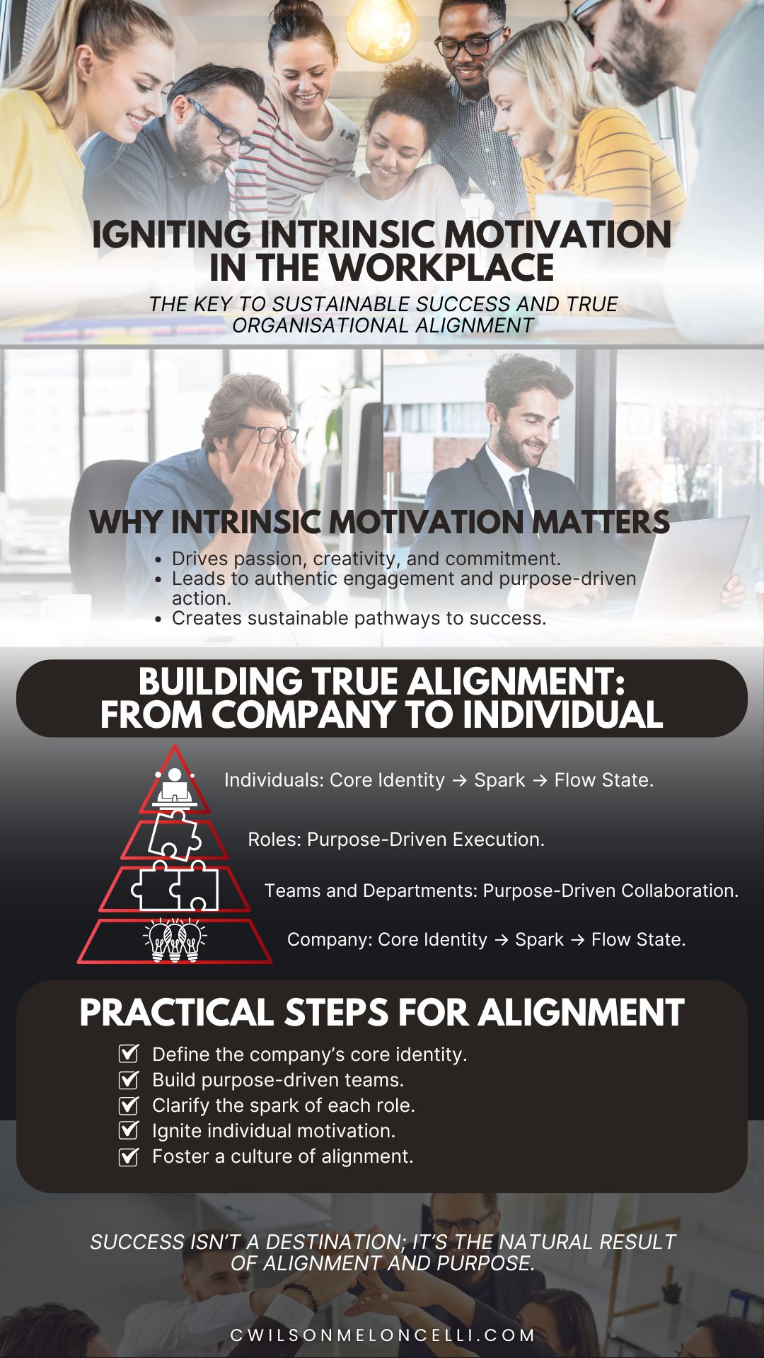 intrinsic motivation in the workplace 